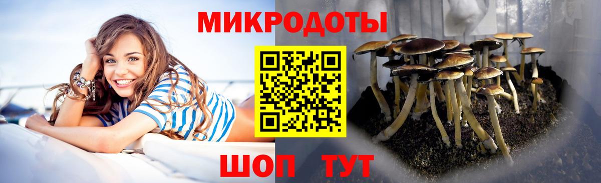 Кирово-Чепецк  Псилоцибиновые грибы GOLDEN TEACHER  Вход с VPN 